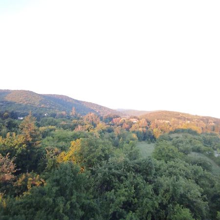 Sky Apartman Sokobanja Exterior foto